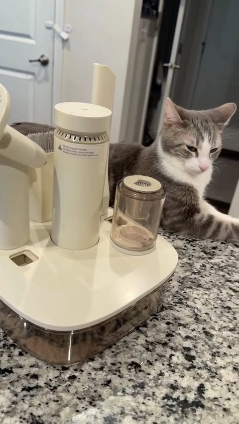 Instagram post by @samcyildiz for PetSnowy. Caption reads: [...] hair used to be a daily struggle — the....