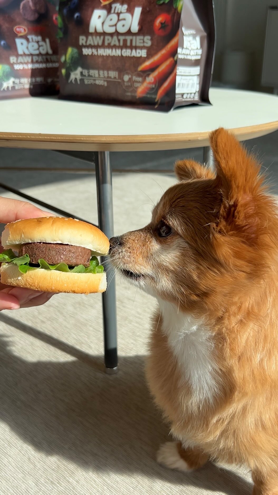 Instagram post by @bambi__jeju for Harim Pet Food. Caption reads: #광고 진짜 햄버거 주는줄 알고 깜짝 놀랐죠?🍔 아니죠~! 하림펫푸드 댕댕이 전용 생고기....