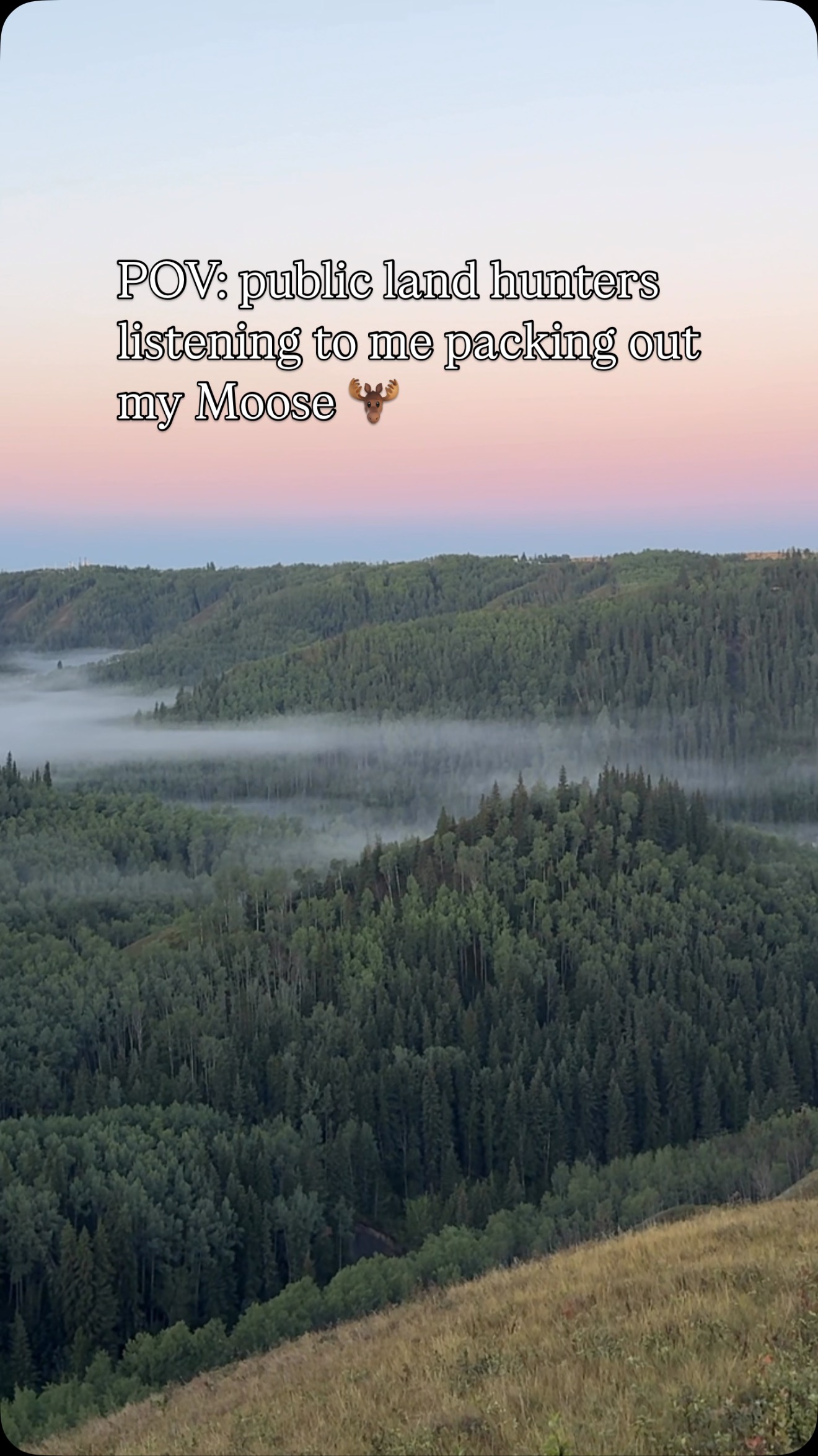 Instagram post by @compassgridlabradors for MTN OPS. Caption reads: September is coming! 143 days fuelled by @mtnops....