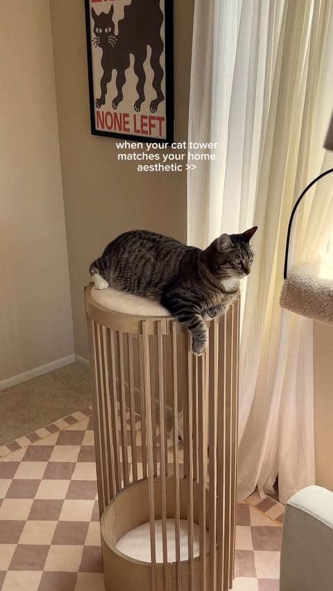 Instagram post by @indoorcatkiwi for Tuftandpaw. Caption reads: this cat tower is a work of art 🤌🏼 #gifted....