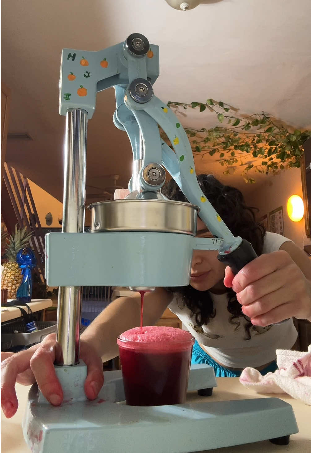 TikTok post by @smallandfragileclub for Ocean Spray. Caption reads: @Ocean Spray Inc. 10/10 cranberries #kitchenhacks....