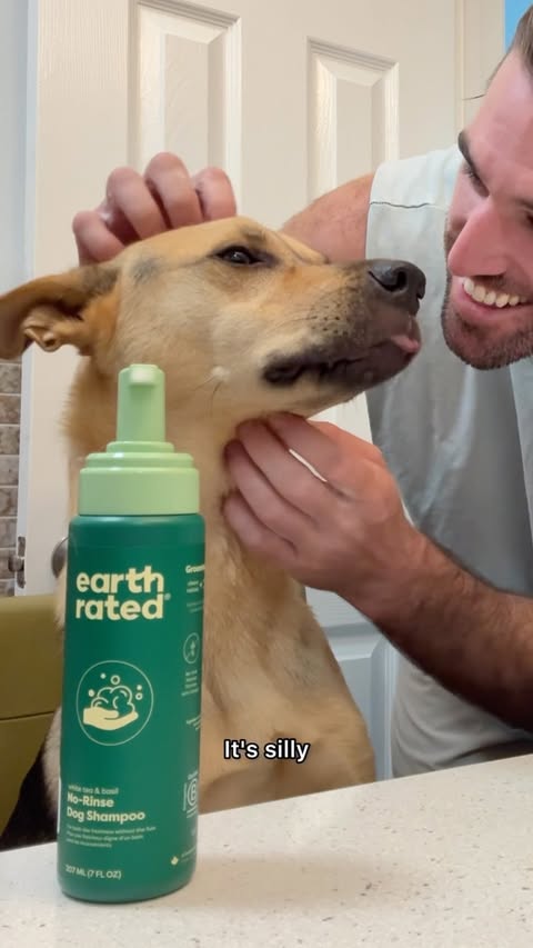 Instagram post by @cactustherescue for Earth Rated. Caption reads: [...] 😅 With no time for a full bath, @earthrated....