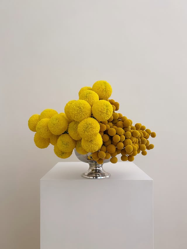 Instagram post by @doctorcooper for Bumble. Caption reads: another crack at the title (1)

@bumble.