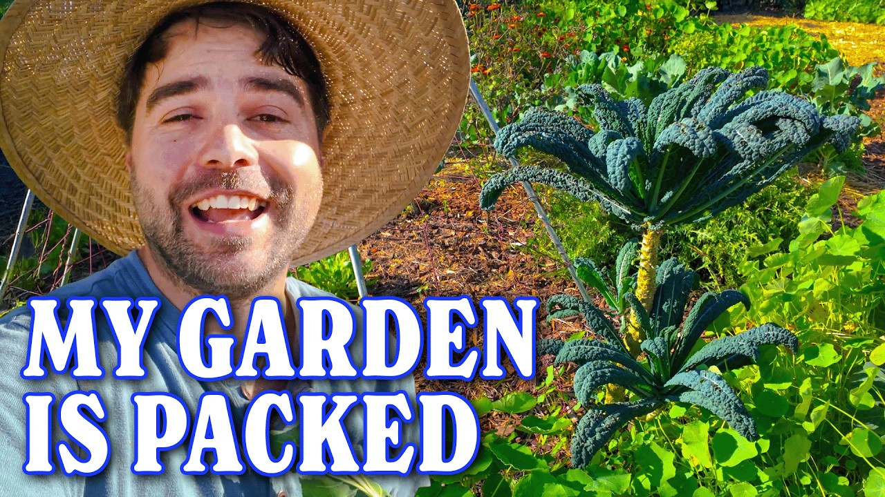 YouTube post by @jacquesinthegarden for Epic Gardening. Caption reads: My Winter Garden is BURSTING With Food | Full....