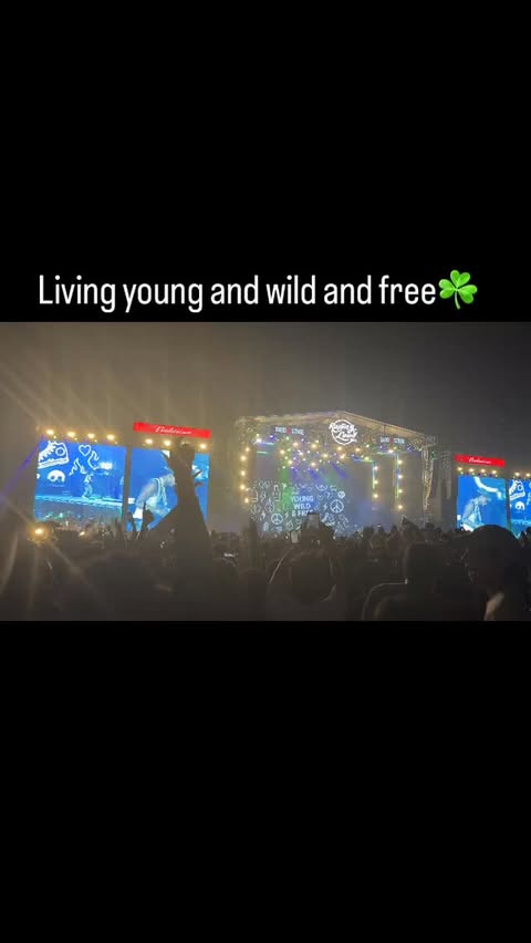 Instagram post by @l_s_d.asap_ for Rolling Loud. Caption reads: @wizkhalifa love smoking weed☘️ @rollingloudindia....