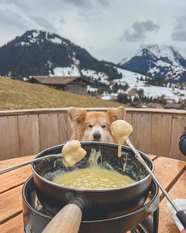 Instagram post by @lecorgi for Switzerland Tourism. Caption reads: ᵃᵈ Postcards from a wonderful stay in Gstaad....