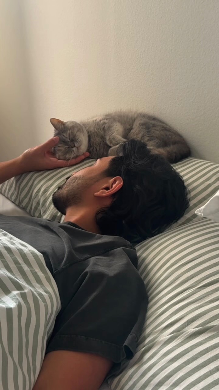 Instagram post by @domsayswhaaat for Smalls. Caption reads: During Adopt a Senior Pet Month, let’s celebrate....