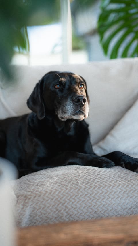 Instagram post by @stineogjarlen for BIC. Caption reads: Reklame // @bicstationeryeu // Life with kids is....