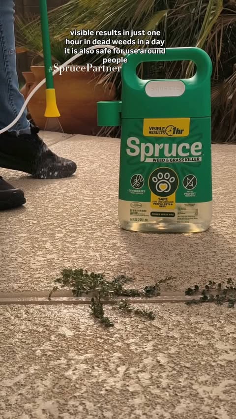 Instagram post by @sonorandesertgal for Spruce. Caption reads: #SprucePartner #ad @justspruceit Sorry weeds,....