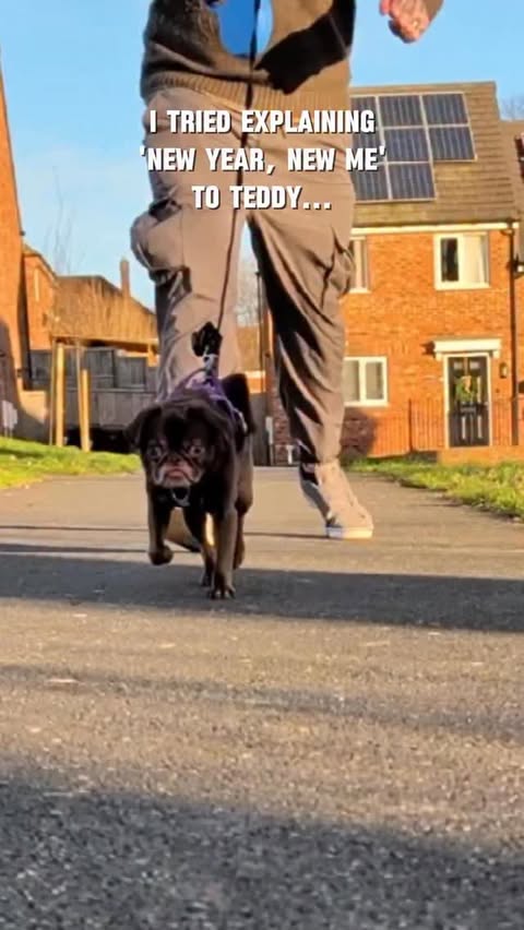 Instagram post by @kingchillithepug for BullyBillows. Caption reads: [...] we’ve upgraded the hardware. This....