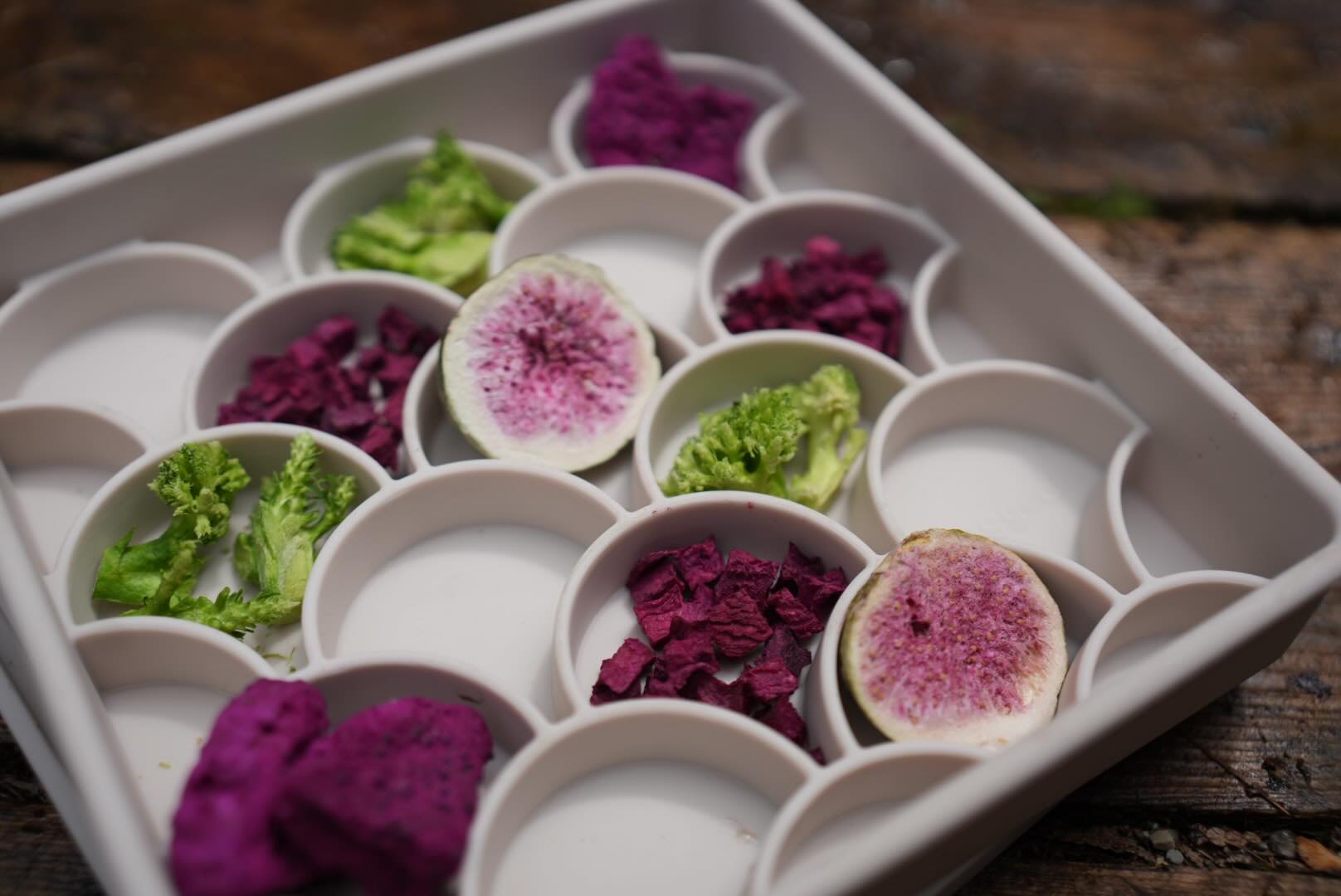 Instagram post by @mainlymalinois for Dogged. Caption reads: [...] using this 3-in-1 slow feeder from....