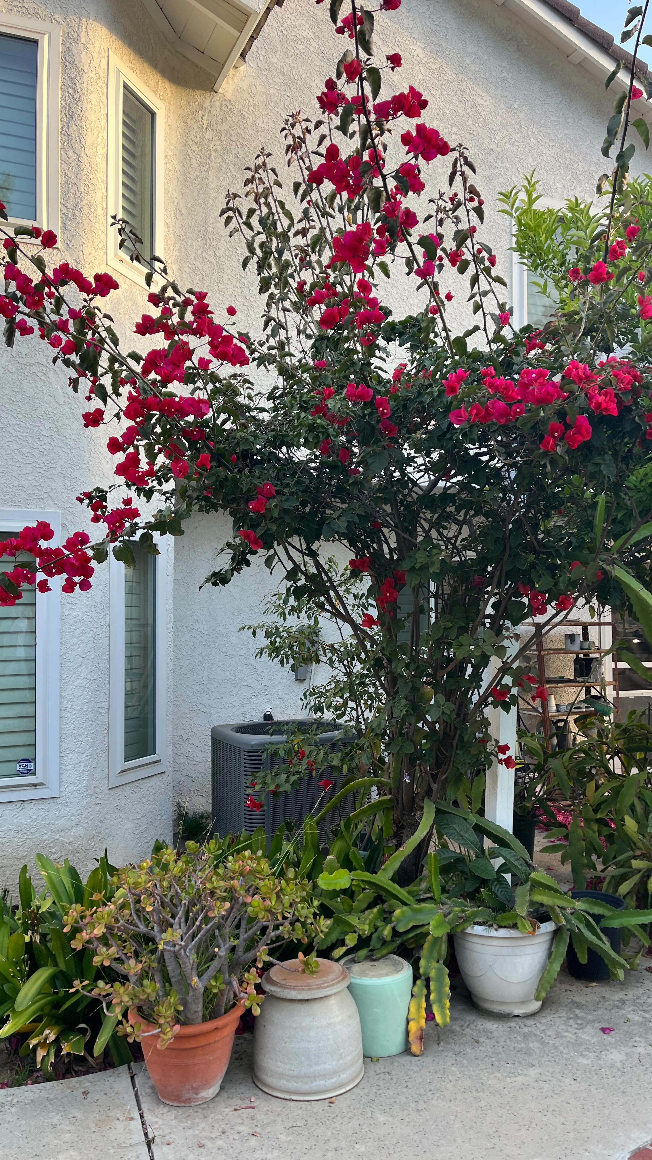 Instagram post by @bonjourbullets for Mr. Pen. Caption reads: ❤️‍🔥 easy card idea for Mother’s Day! 💐🌸💕....