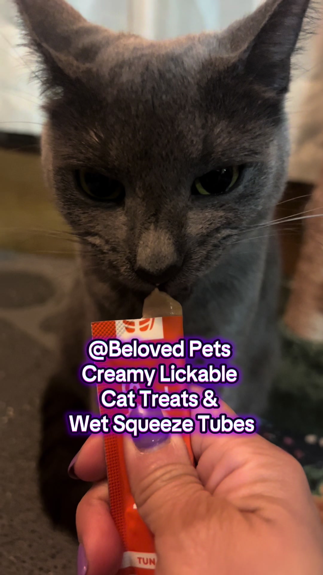 TikTok post by @concerned_kitty for Beloved Pets. Caption reads: Yummy 😋  Lickable treats By @Beloved Pets 🤗....