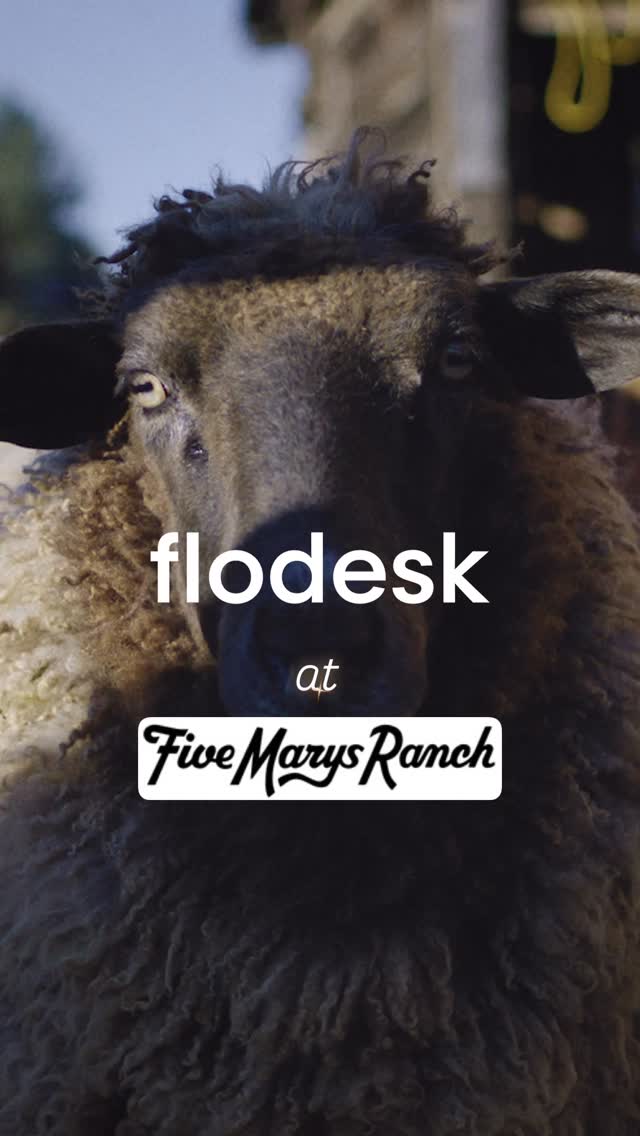 Instagram post by @fivemarys for Flodesk. Caption reads: [...] a better job of telling our story than....