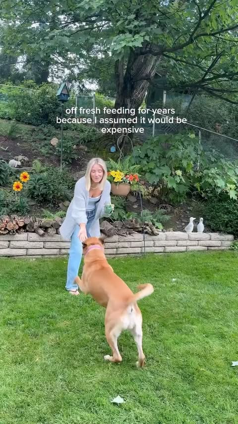 Instagram post by @channingschinzel for Blue Buffalo. Caption reads: #BlueBuffaloPartner One thing about me? If my dog....