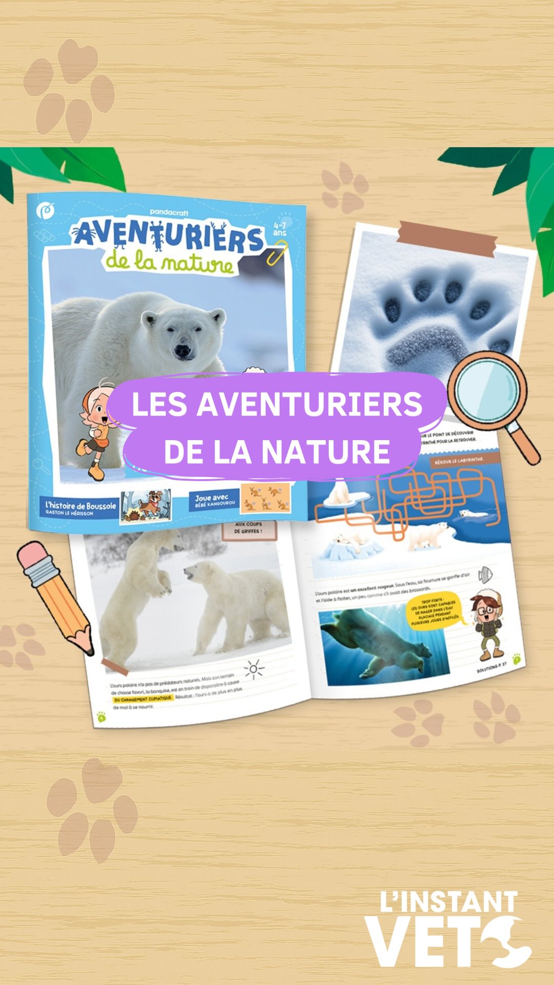 Instagram post by @linstant_veto for Pandacraft. Caption reads: 🐻‍❄️ Faire découvrir aux enfants les animaux et....