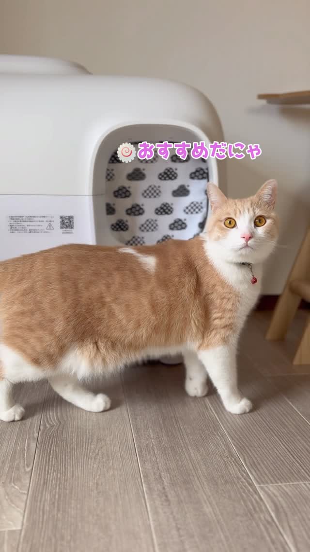 Instagram post by @nyaruto222 for PetSnowy. Caption reads: @petsnowy_jp さんの全自動トイレ [...].