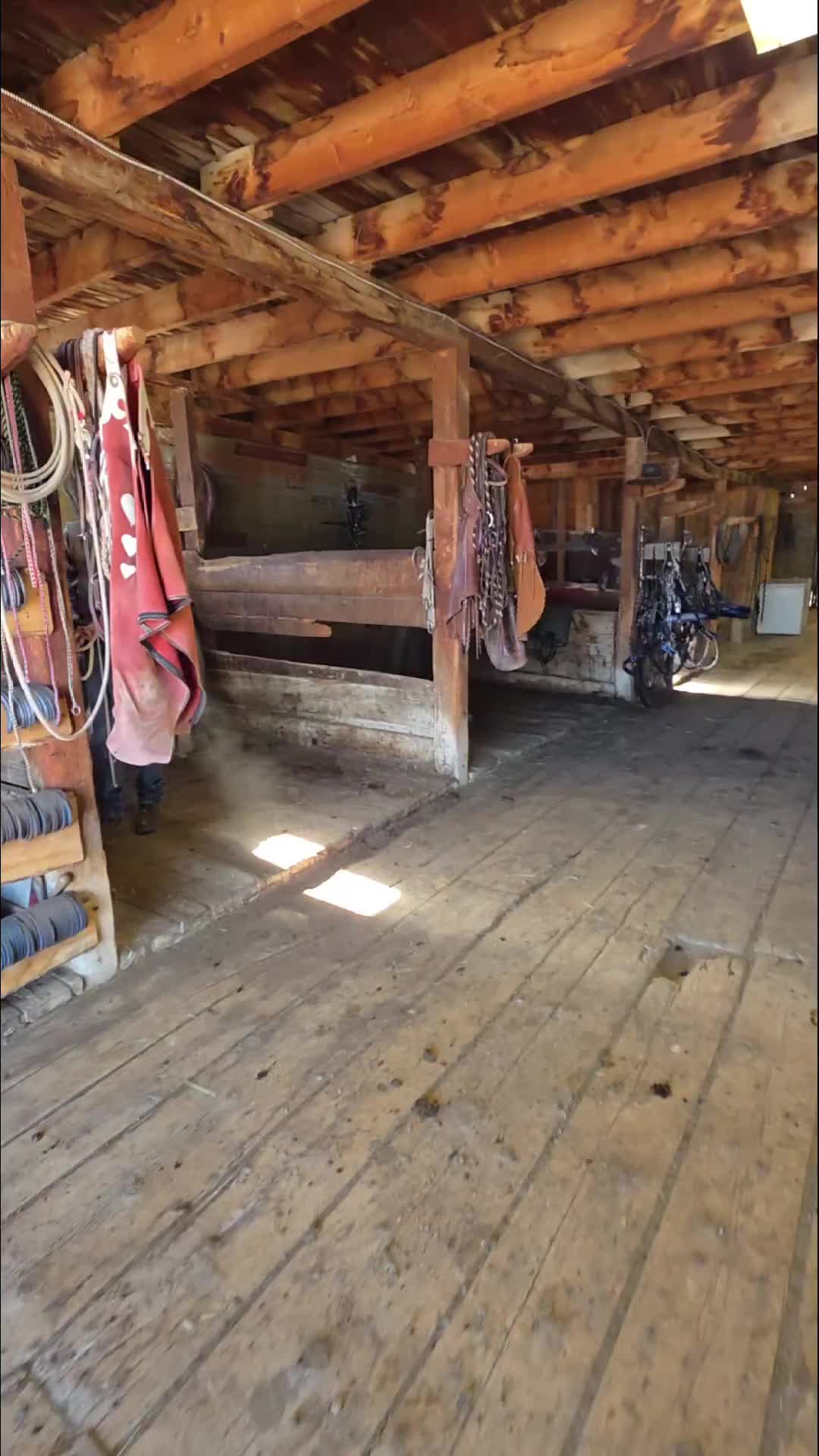 TikTok post by @badhosssilver for Ely Cattleman. Caption reads: Ely cattleman shirts have been around since 1870s.....