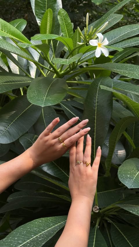 Instagram post by @sakshigahtori for PALMONAS. Caption reads: [...] pieces are inspired by nature 🌿✨....