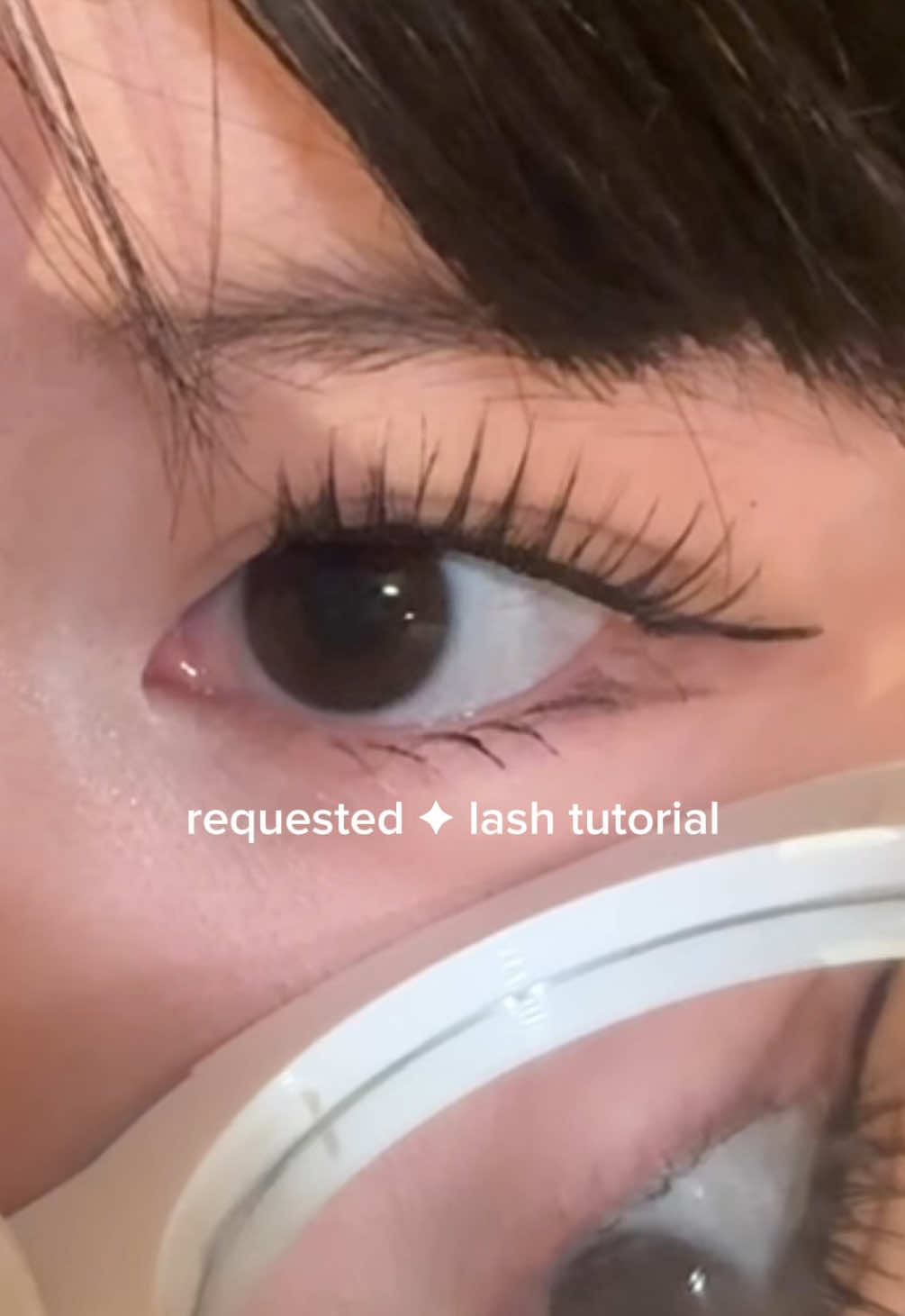 TikTok post by @elainesarchive for Ninetynine Dreams. Caption reads: [...] i look tired🙂💔 thank you so much....