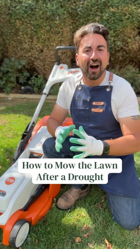 Instagram post by @gardening.with.ish for STIHL. Caption reads: [...] setting and only remove a little bit. My....
