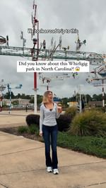 Instagram post by @magnoliamegan for WAWA. Caption reads: Did you know Wawa is finally in NC? 👀

Whirligig....