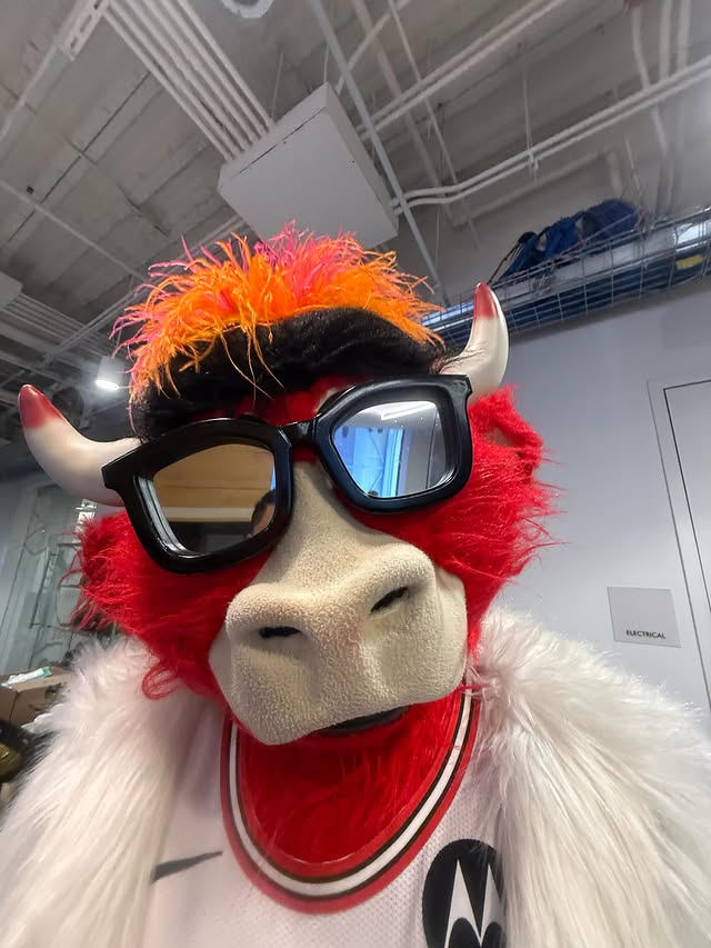 Instagram post by @bennythebull for BMO. Caption reads: I let the cameras into my workplace. Huge mistake....