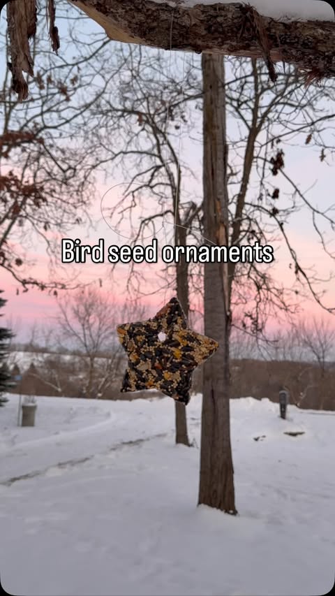 Instagram post by @happyacreshomesteadmn for Duluth Trading Company. Caption reads: #ad Thanks to @duluthtradingcompany for sending me....