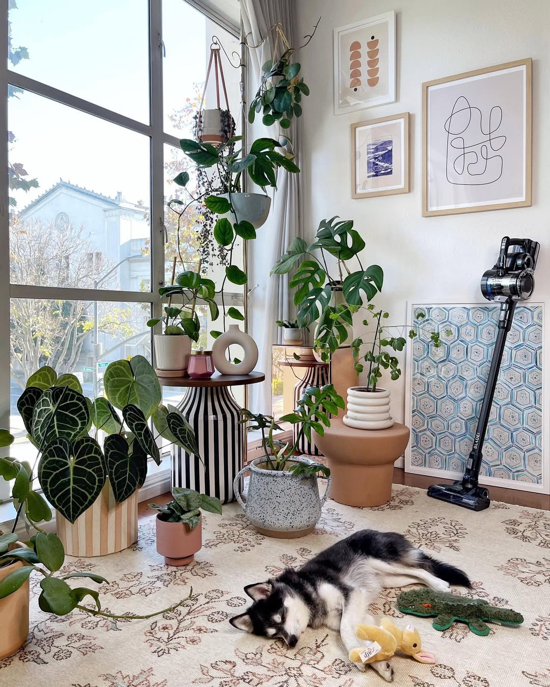 Instagram post by @hothouse.jungle for Hoover Vacuums. Caption reads: Work hard, play hard? 💤🌿✨

#Ad Keeping my jungle....