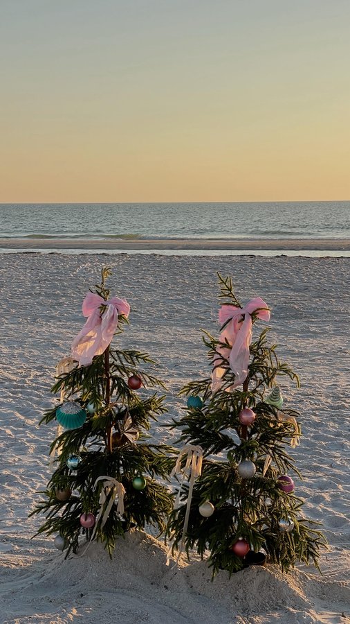 Instagram post by @cass.spinelli for Dutch Bros Coffee. Caption reads: HAPPY NATIONAL PASSENGER PRINCESS DAY to all my....