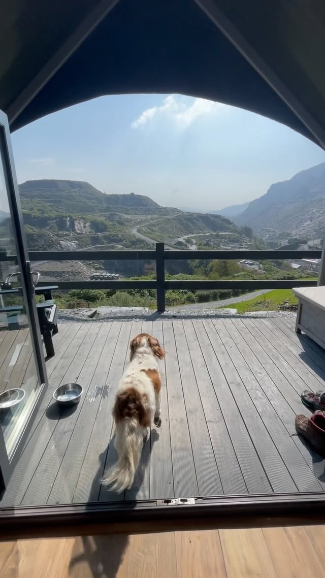 Instagram post by @hayley_merch_y_mynydd for Beco Pets. Caption reads: [...] of Eryri 🏴󠁧󠁢󠁷󠁬󠁳󠁿 #plasweunydd....