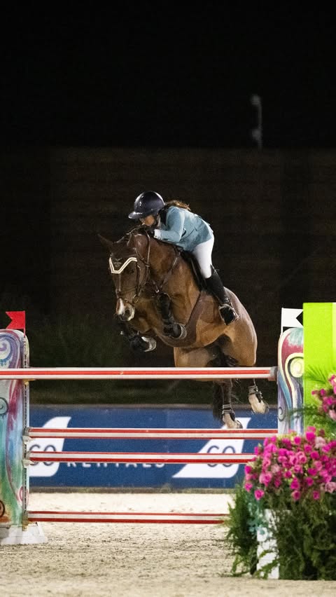 Instagram post by @julieahnmedia for Majyk Equipe. Caption reads: 😉😛 . . . . #equestrian #showjumping....