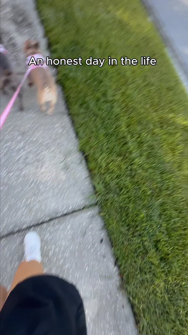 Instagram post by @lavenderandlatte for Chewy. Caption reads: Back at it with another honest day in the life as....