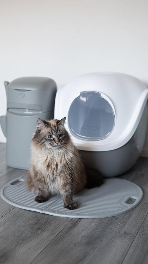 Instagram post by @junethekitty for Litter Genie. Caption reads: [...] just got an epic upgrade with the Litter....