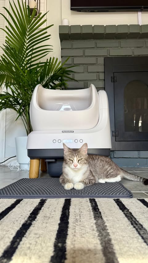 Instagram post by @diesel_dobie for PetSafe. Caption reads: New cat find at @Costco 🐱✨ @PetSafe ScoopFree....