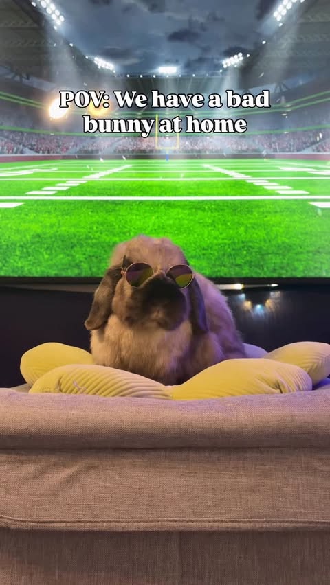 Instagram post by @beef.thebunny for Chewy. Caption reads: [...] baddest bunny #badbunmy #superbowl2026....