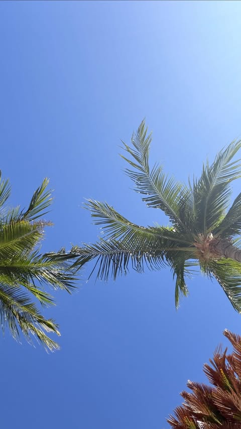 Instagram post by @christielouisemac for Charlotte Tilbury. Caption reads: [...] new travel sized favourites from....