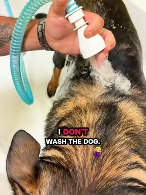 TikTok post by @no.niche.nickie.b for Rinseroo. Caption reads: @Rinseroo™ #rinseroo #bathtimehacks [...].