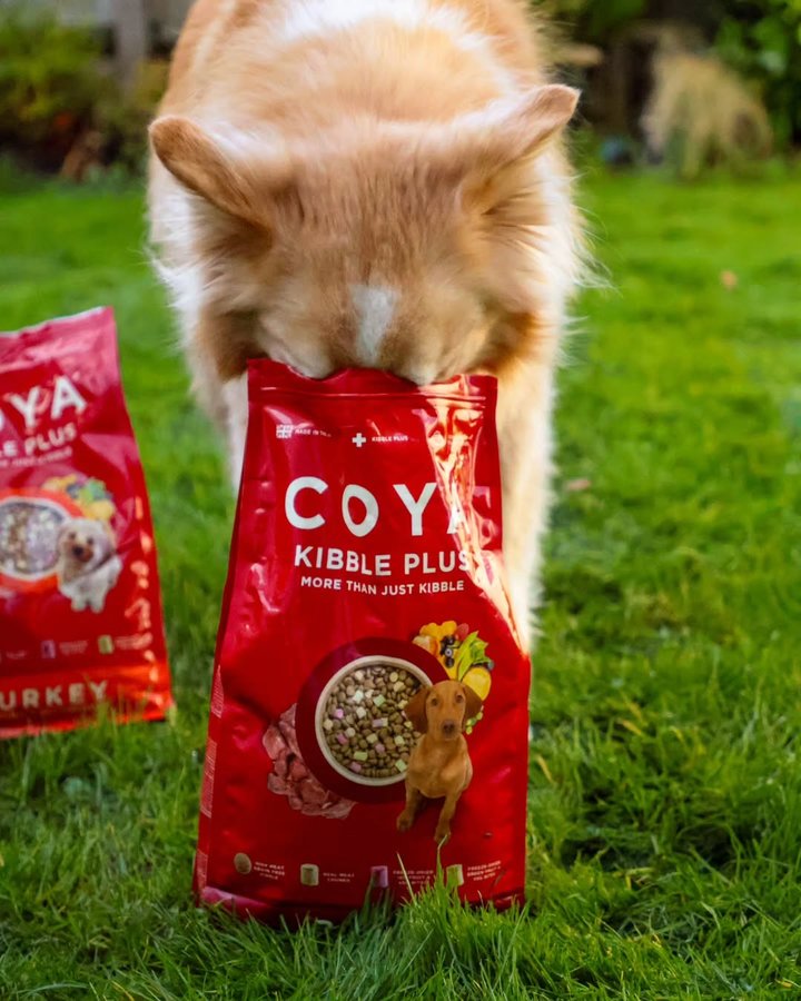 Instagram post by @mydogmilosmith for COYA Pet. Caption reads: [...] they’re family. Ad/gifted . . . . . .....