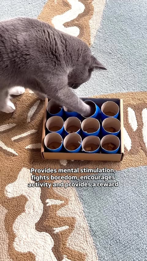 Instagram post by @purrfectinfluencer for I and love and you. Caption reads: [...] kitty loves hunting for delicious....