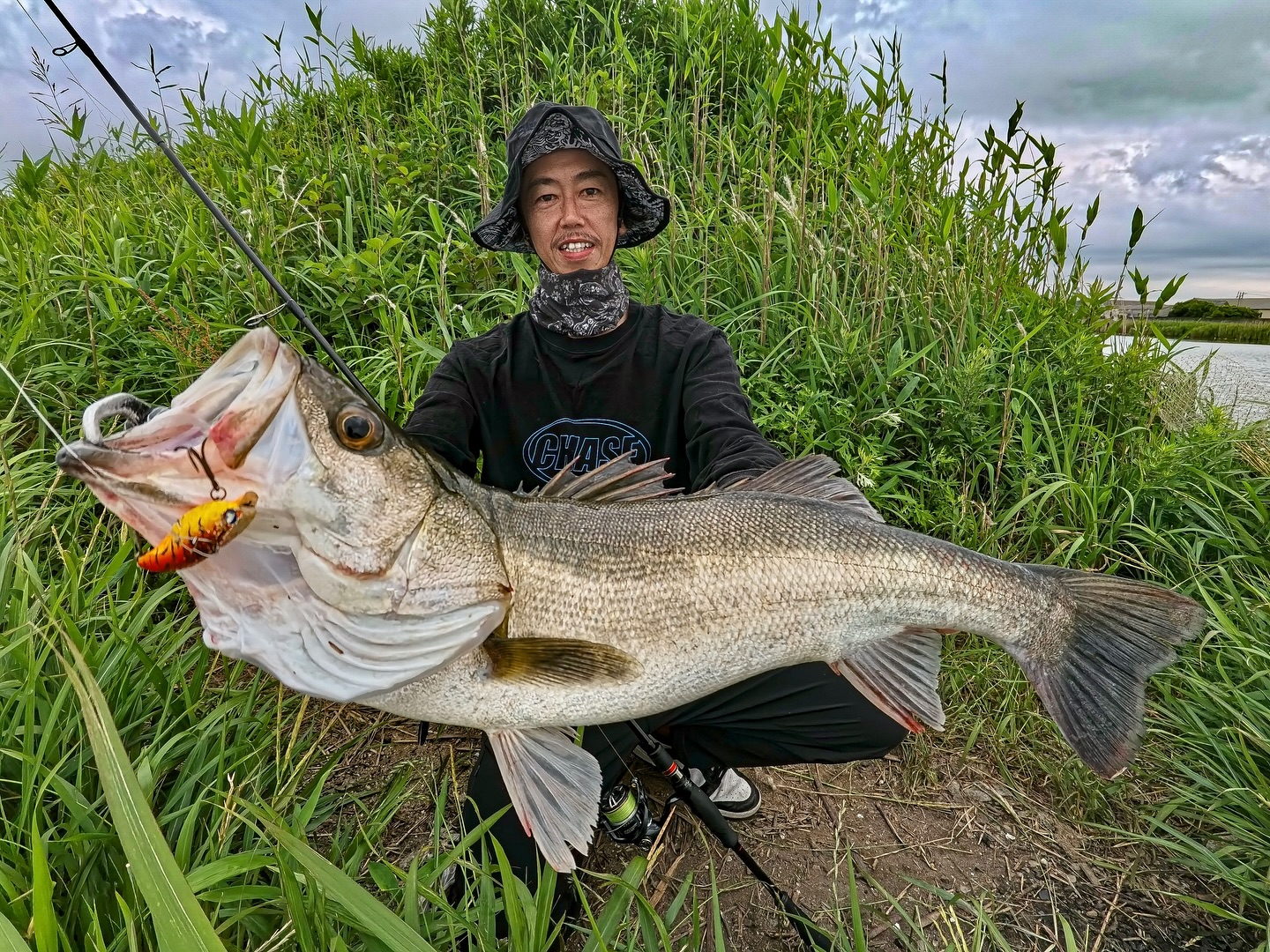 Instagram post by @sei.uchida_fishing for ShimanoFishing Japan. Caption reads: 濁り河川をナレージで攻略

◽️SITUATION
雨の濁り河川。ベイトは見当たらないが、移動中にふ....
