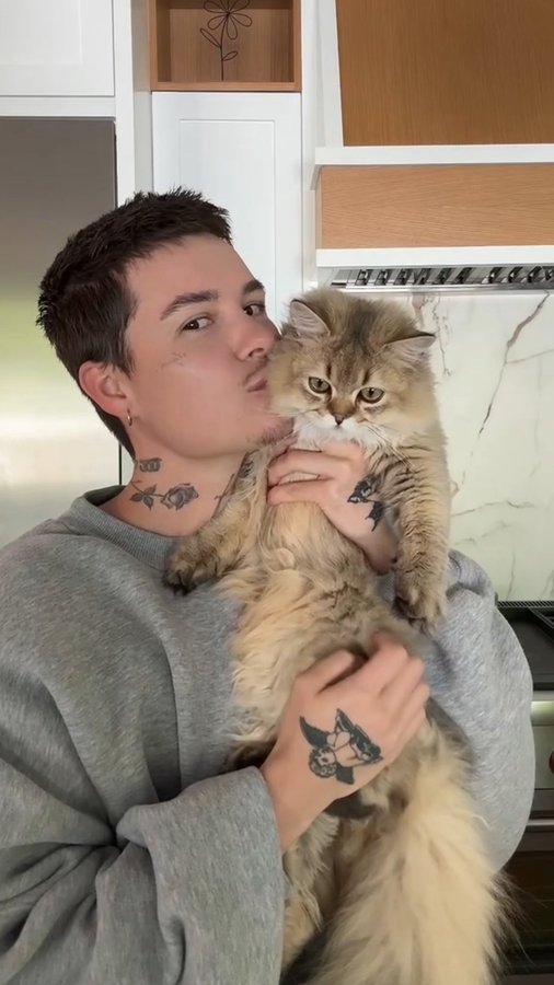 Instagram post by @jessesulli for Smalls. Caption reads: [...] Day to all the cat dads out there!....