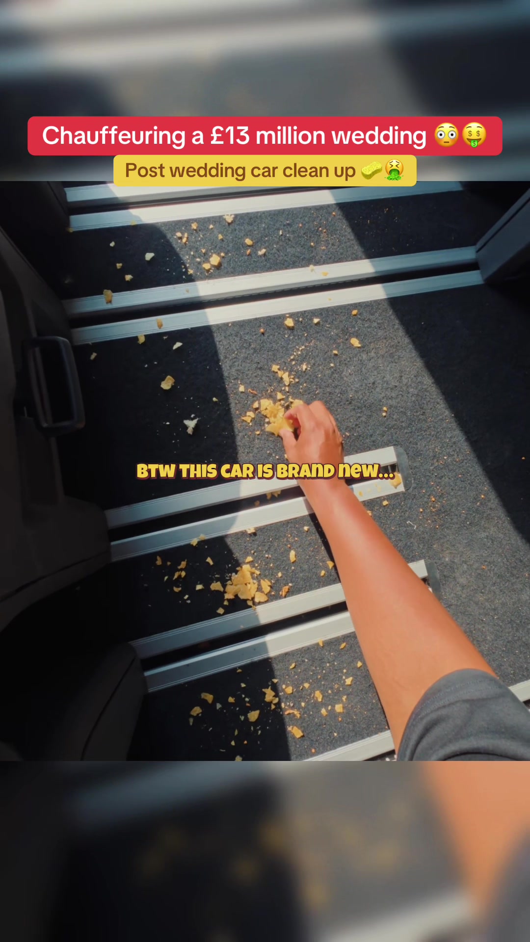 TikTok post by @shosharabi for Fanttik. Caption reads: [...] a serious mess being left in my car.....