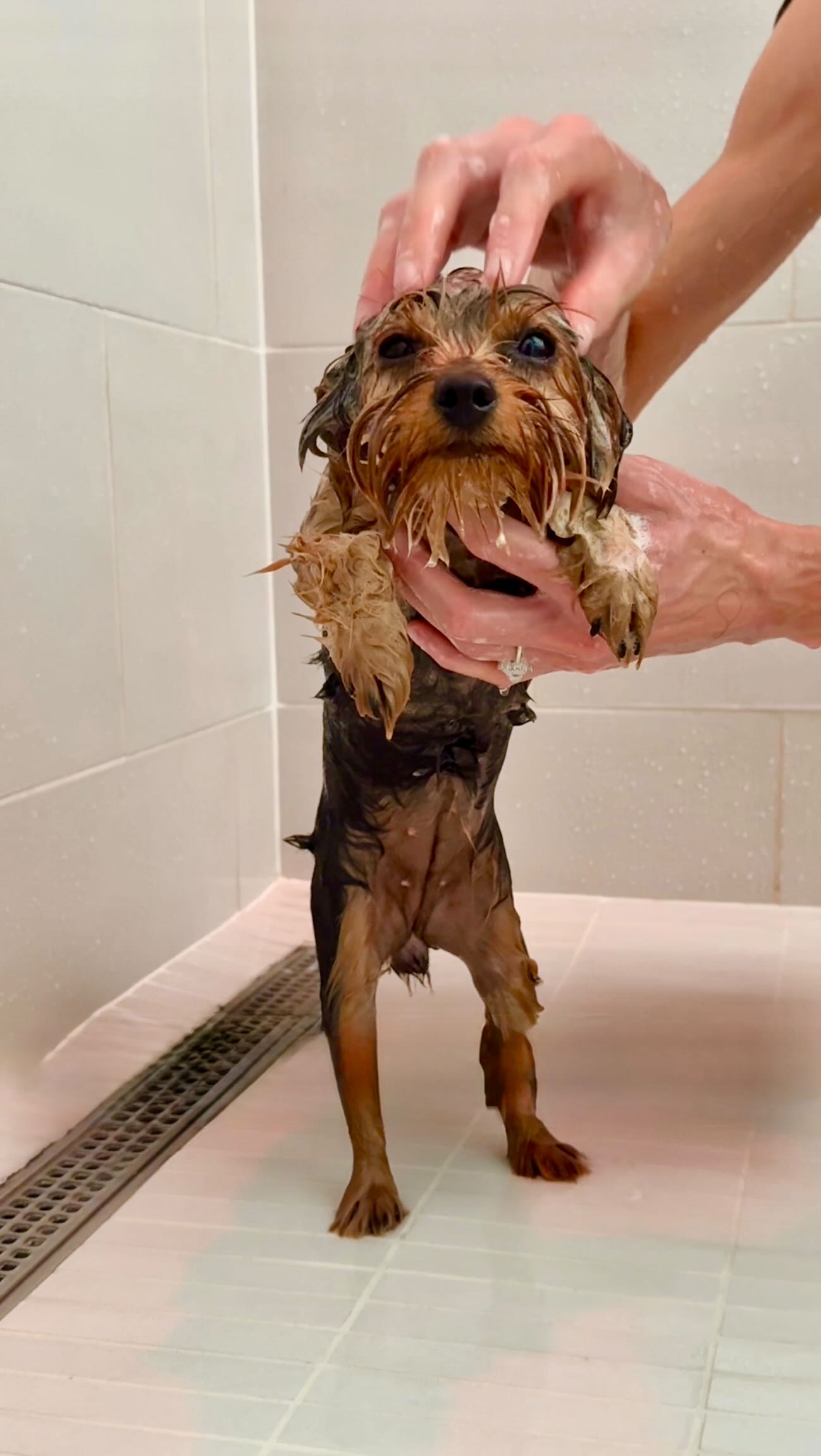 Instagram post by @lilsipper for Aquasana. Caption reads: COMMENT “filter” for 55% off! (I’ll DM....