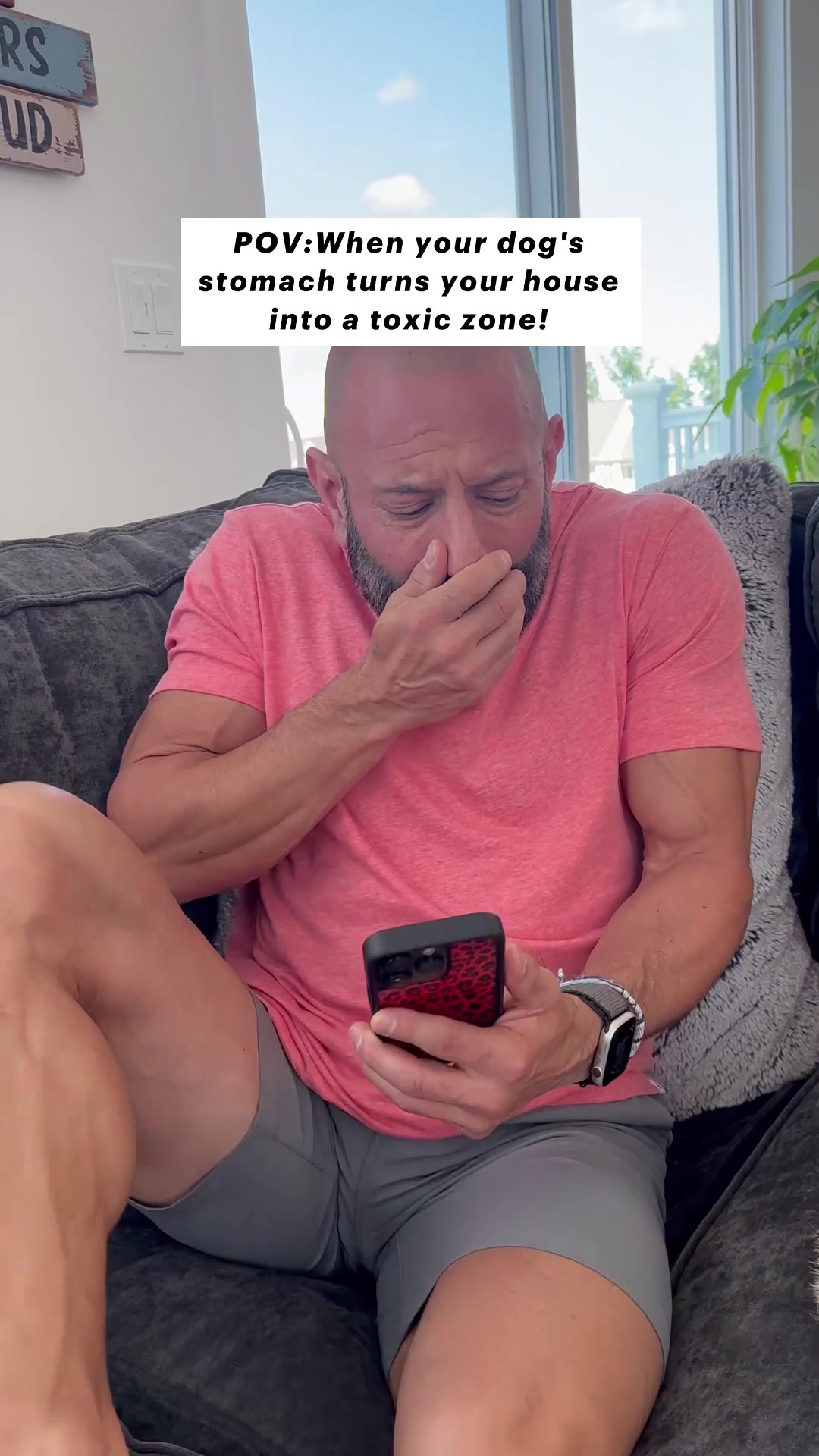 TikTok post by @magnusthetherapydog for Fera Pets. Caption reads: As many of you know, Magnus has been having....