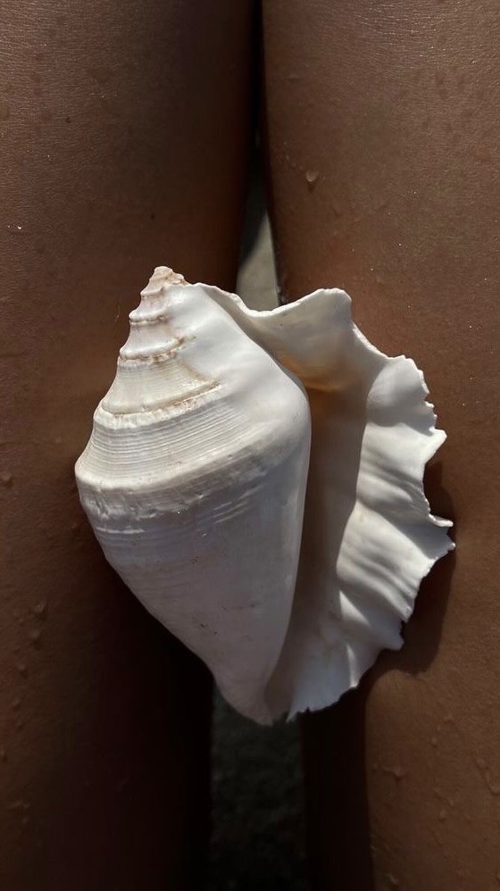 Instagram post by @vanilleblb for Kujten. Caption reads: @kujten 🦂🌵

#frenchstyle #ootdmag [...].