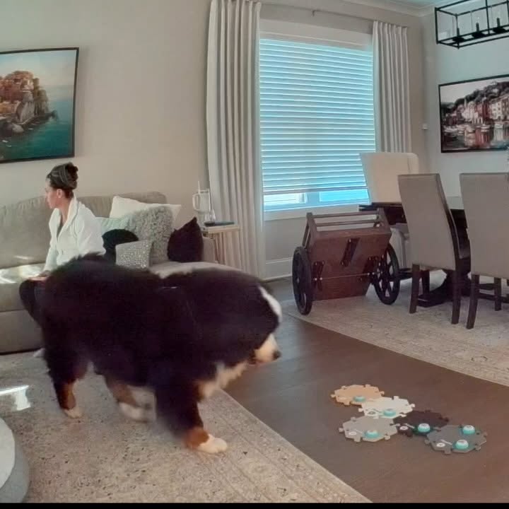 Instagram post by @riggietheberner for FluentPet. Caption reads: [...] the red bones and the buttons! The FluentPet....