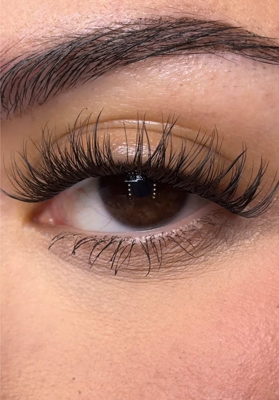 TikTok post by @juliesaanchez for FlutterHabit. Caption reads: @flutterhabit for lifeeee #lashes #lashextensions....