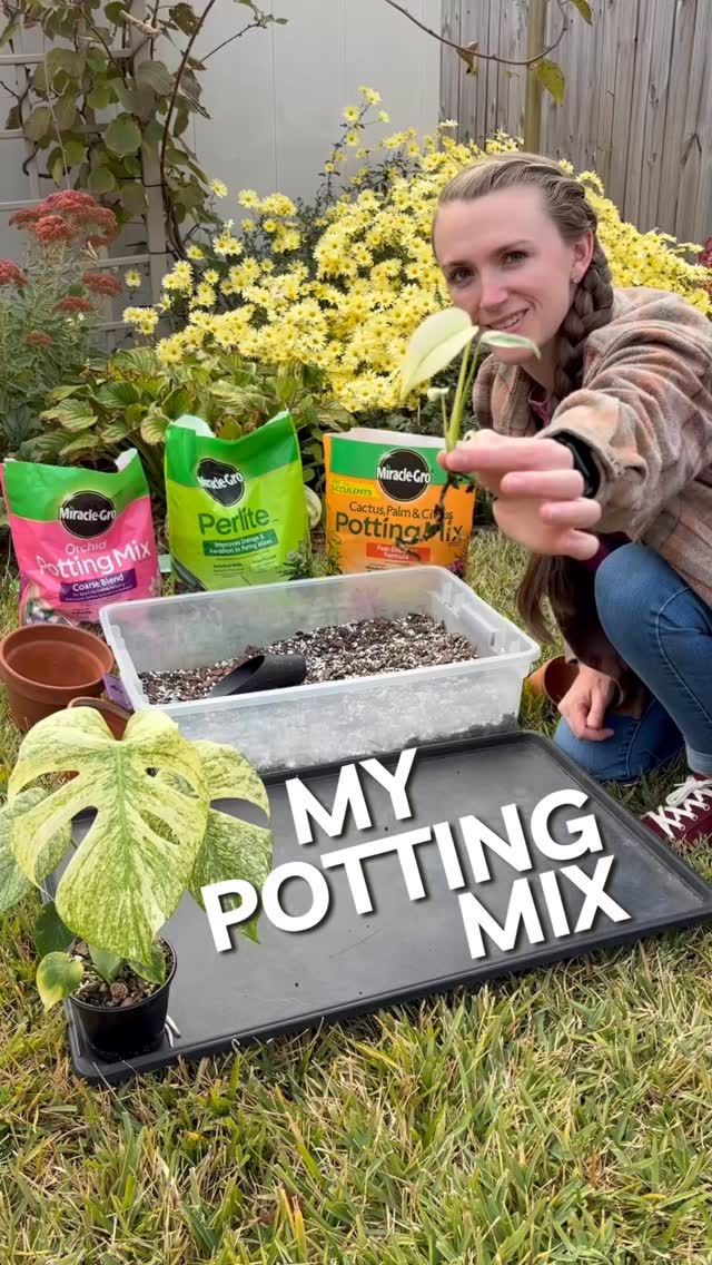 Instagram post by @welcometothewindow for Miracle-Gro. Caption reads: [...] my Monstera soil mix. I’ve been using....