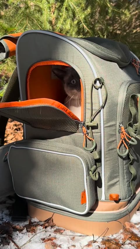 Instagram post by @north10ranch for Petsfit. Caption reads: [...] a hike in my new Wildpath backpack from....